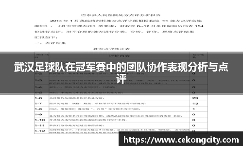 武汉足球队在冠军赛中的团队协作表现分析与点评
